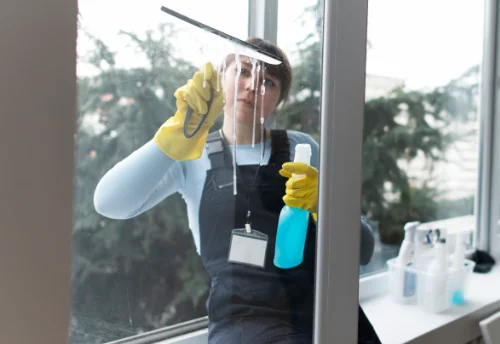 Nettoyage de vitres intérieures et extérieures à Monétay-sur-Allier